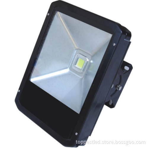 LED Tunnel Light (TP-T11-080W01)